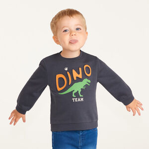 Sweat molleton bébé garçon print fantaisie 