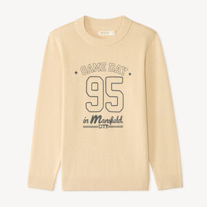 Pull garçon manches longues en tricot imprimé fantaisie 