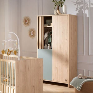 Armoire à 2 portes et niches Tokyo aspect chêne suave/sauge 