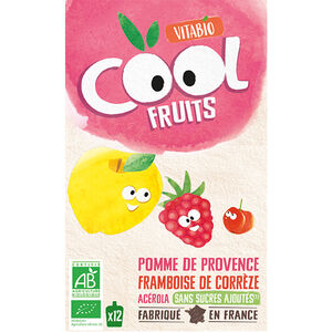 Gourdes sucrées Cool Fruits de Pomme et Framboise 12x90g 