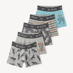 Lot de 5 boxers garçon à motifs félins et rayures contrastées 
