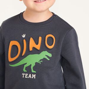 Sweat molleton bébé garçon print fantaisie 