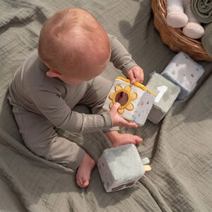 Lot de 4 cubes doux Little Farm  