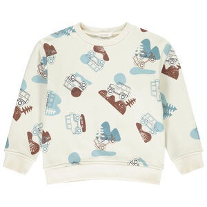 Sweat en molleton avec imprimé pick-up pour garçon  