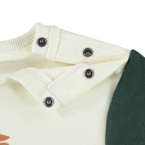 Sweat molleton print volcan pour bébé garçon 