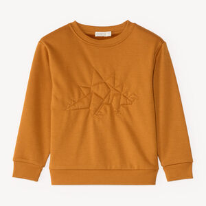 Sweat en molleton doublé polaire garçon 