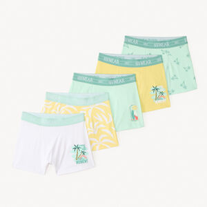 Lot de 5 boxers print palmiers pour garçon 