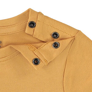 T-shirt manches longues motif animal en cording pour bébé garçon 