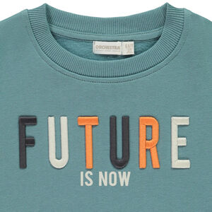 Sweat molleton à broderie 3D pour garçon 