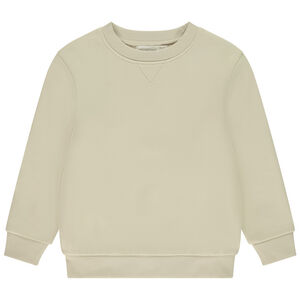Sweat en molleton gratté uni garçon 