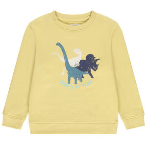 Sweat molleton print dinosaures pour garçon 