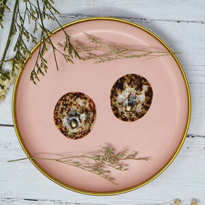 Lot de 2 coquillages d'allaitement Taille S  