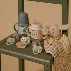 Lot de 2 sucettes silicone SX Pro Night & Day 6-18M lapin 