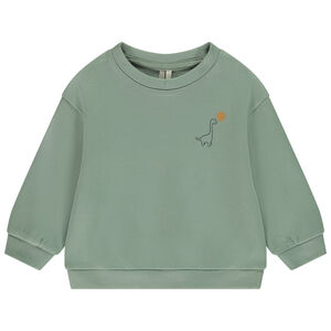 Sweat manches longues uni en molleton + print dinosaure pour bébé garçon 