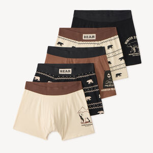 Lot de 5 boxers garçon motifs ours 