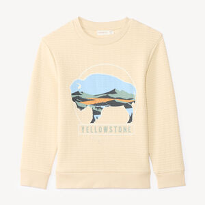 Sweat garçon en maille texturée et print fantaisie 