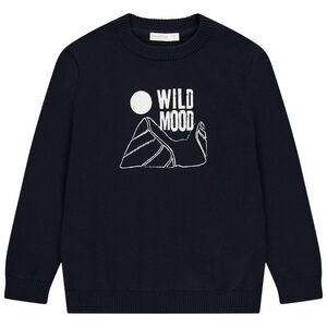 Pull en tricot uni print fantaisie pour garçon 