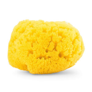 Eponge de Bain 100% Naturelle - Eponge de Mer 