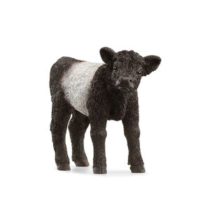 Figurine veau Galloway 