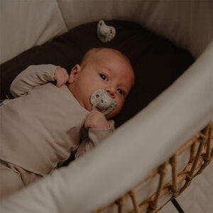 Lot de 2 sucettes silicone SX Pro Night & Day 6-18M éléphant 