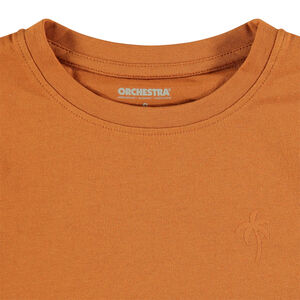 Lot de 3 t-shirts manches courtes print palmier garçon 