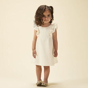 Robe de cérémonie en jacquard à manches brodées pour bébé fille 