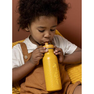 Gourde en acier inoxydable 500ml Mr. Giraffe 