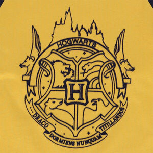 T-shirt manches longues raglan en jersey avec print Harry Potter Warner 