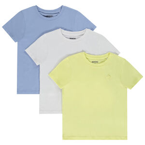 Lot de 3 t-shirts manches courtes puff print palmier pour garçon 