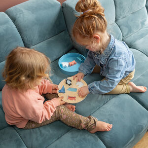 Jeu trieur de formes des animaux de l'arctique  