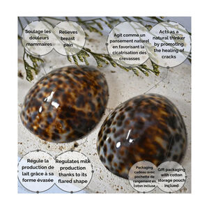 Lot de 2 coquillages d'allaitement tachetés brillants Taille L 