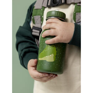 Gourde en acier inoxydable 350ml Mr. alligator 