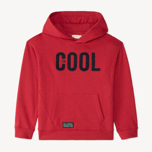 Sweat à capuche garçon avec broderie bouclette 