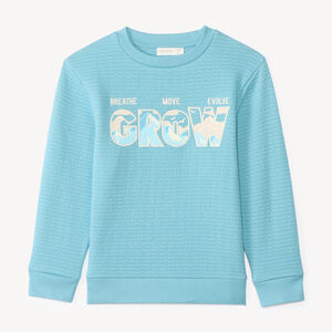 Sweat garçon en maille texturée et print fantaisie 