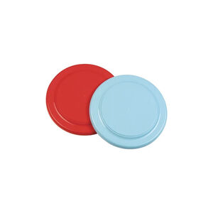 Frisbee 22 cm (Coloris aléatoire) 