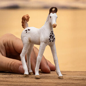 Figurine poulain Marwari 