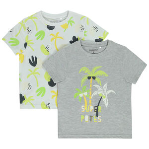 Lot de 2 t-shirts manches courtes motifs palmiers pour garçon 
