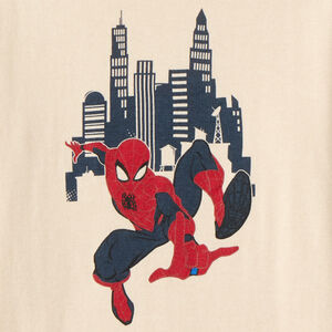 Pull garçon Spider-Man en tricot 