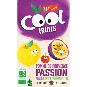 Gourdes sucrées Cool Fruits de Pomme et Passion 12x90g 
