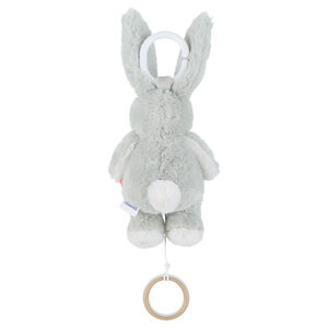 Peluche mini-musicale 20cm Verdi  