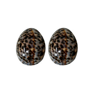 Lot de 2 coquillages d'allaitement tachetés brillants Taille S 