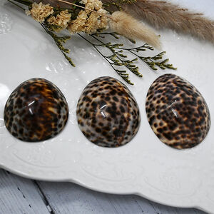 Lot de 2 coquillages d'allaitement tachetés brillants Taille S 