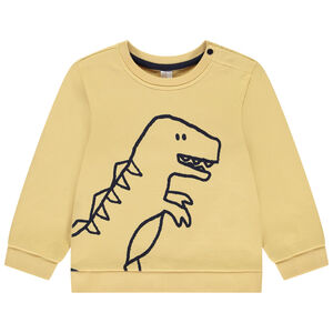 Sweat molleton print dino pour bébé garçon 