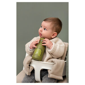 Gourde en acier inoxydable Mr Dino 350ml 