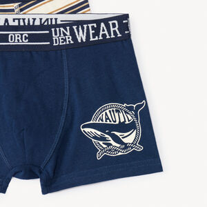 Lot de 5 boxers fantaisies pour garçon  