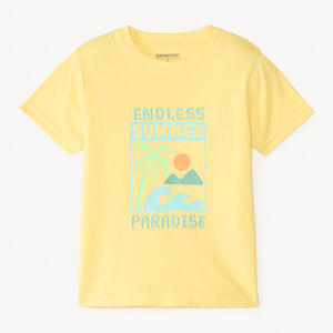 T-shirt manches courtes uni print et broderie estival fantaisie pour garçon 