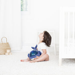 Veilleuse Projecteur Baleine Aqua Dream 