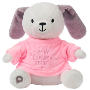 Habillage pour peluche annonce de naissance "tu vas être grande soeur" 