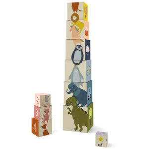 Jouet 1er age Blocs à empiler 