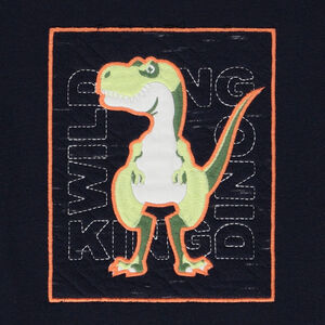 Sweat en molleton patch T.Rex pour garçon 